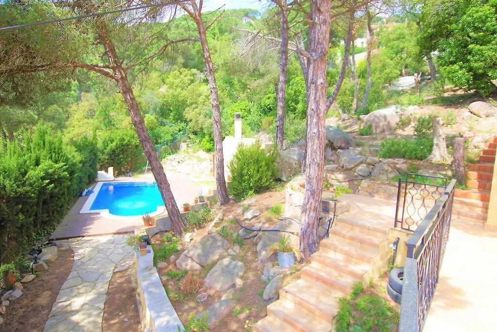 V&V Lloret- Villa Ocells Lloret de Mar